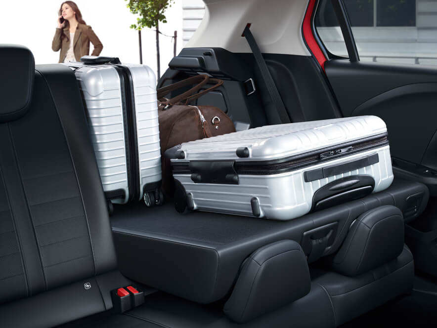 Перевезення багажу